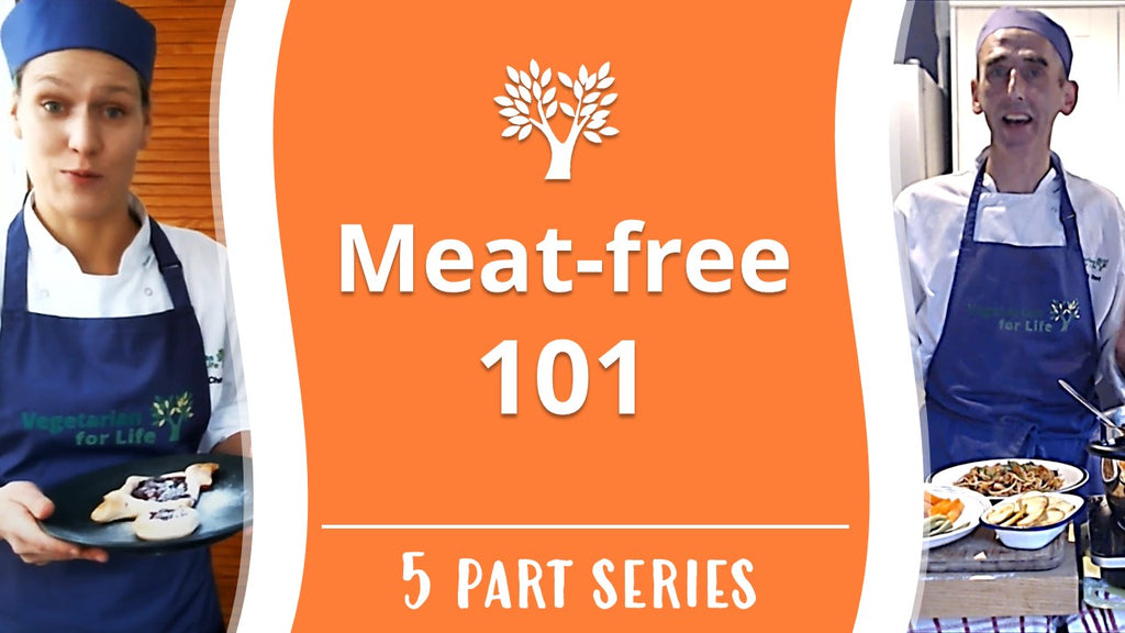 Meat-free 101 Webinar Series (Single User)